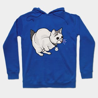 Cat want to jump Hoodie